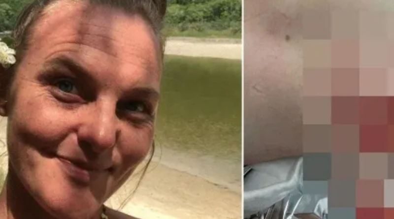 Novo Projeto - 2025-12-18T155758.252