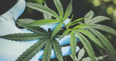 Novo Projeto - 2025-12-22T161653.389