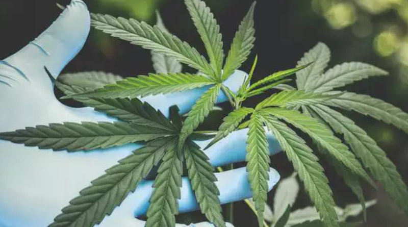 Novo Projeto - 2025-12-22T161653.389