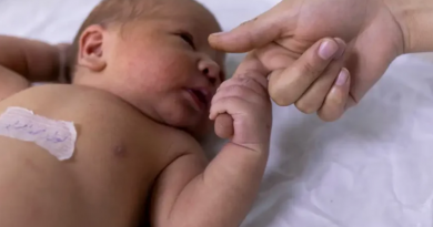 Novo Projeto - 2025-12-23T150233.265