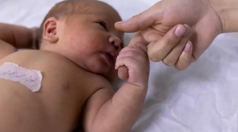 Novo Projeto - 2025-12-23T150233.265