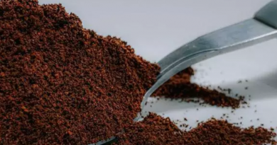 Novo Projeto - 2025-12-23T152906.621