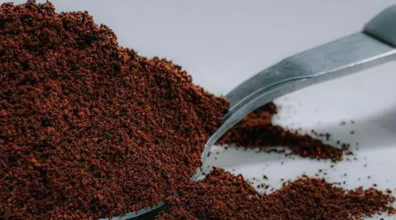 Novo Projeto - 2025-12-23T152906.621