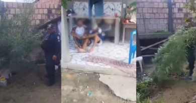 Novo Projeto - 2025-12-29T074712.588