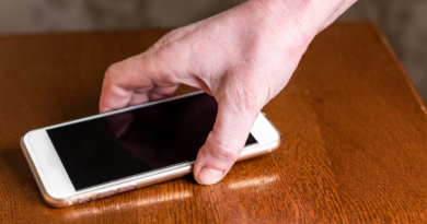 Novo Projeto - 2025-12-29T094456.257