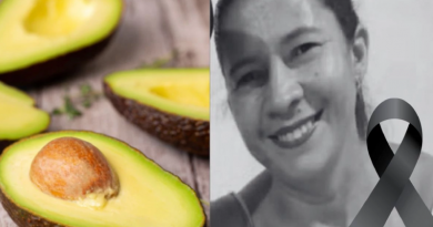 Novo Projeto - 2025-12-29T102545.813