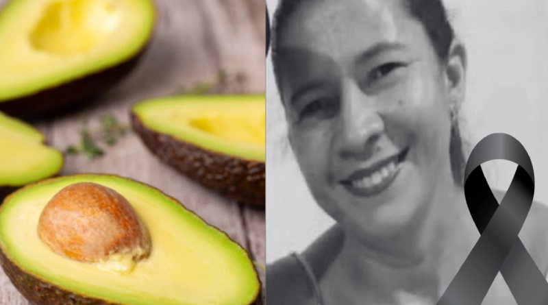 Novo Projeto - 2025-12-29T102545.813