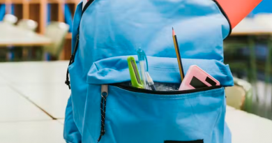 Novo Projeto - 2025-12-29T162243.705