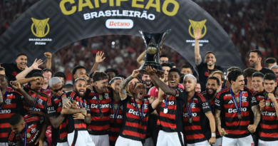 flamengo . brasileirão