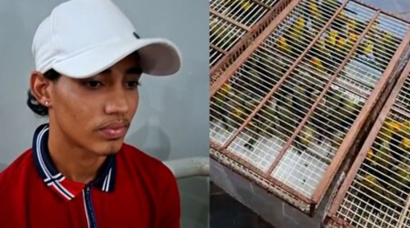 fundo para fotos com logo (24)