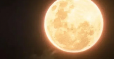 Última Superlua do ano pode ser vista no Planetário nesta sexta