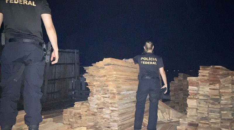 MP investiga madeireira de Novo Progresso por suspeita de falsidade ideológica