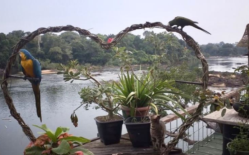 Pousada Curuagito as margens do Rio Jamanxim em Novo Progresso | Foto: Reprodução/Redes Sociais