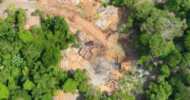 serraria clandestina