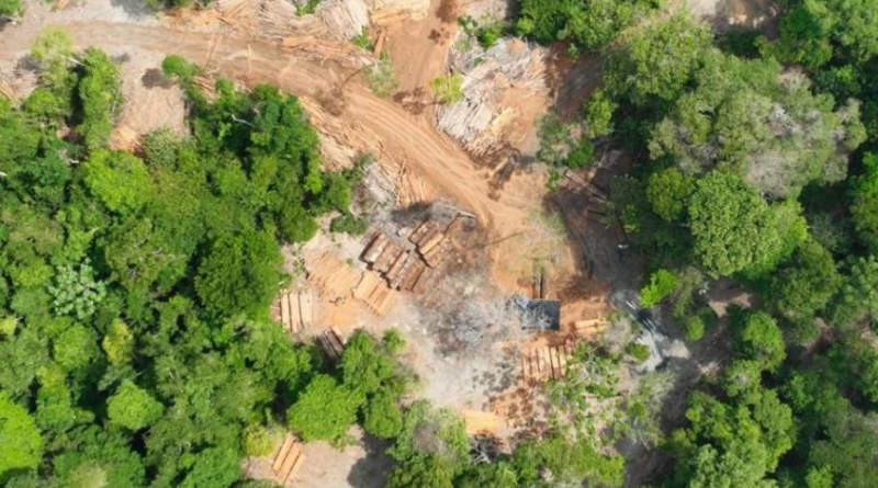 serraria clandestina