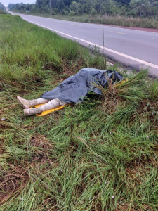 Foto: Reprodução/PRF