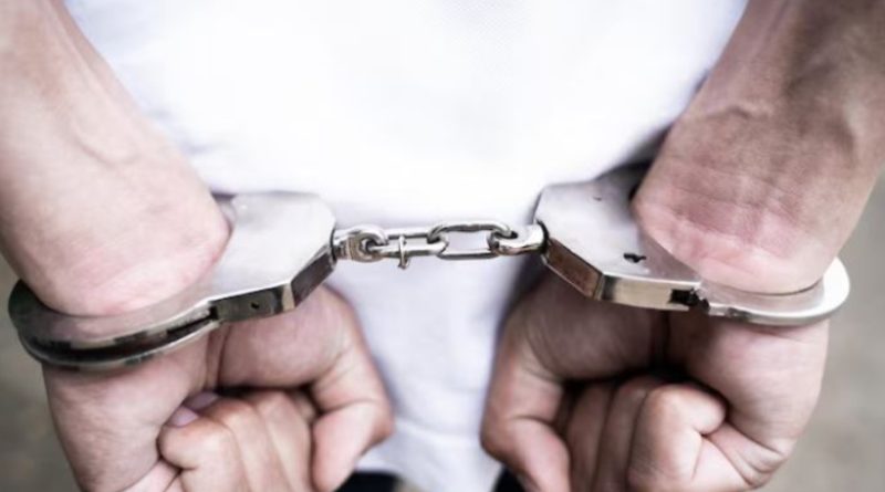 Algema - Jornal Folha do Progresso