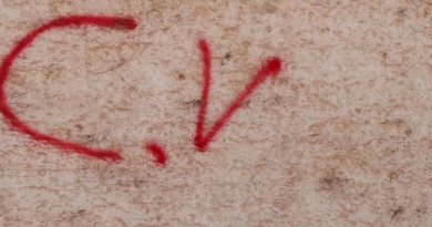 CV-Jornal Folha do Progresso