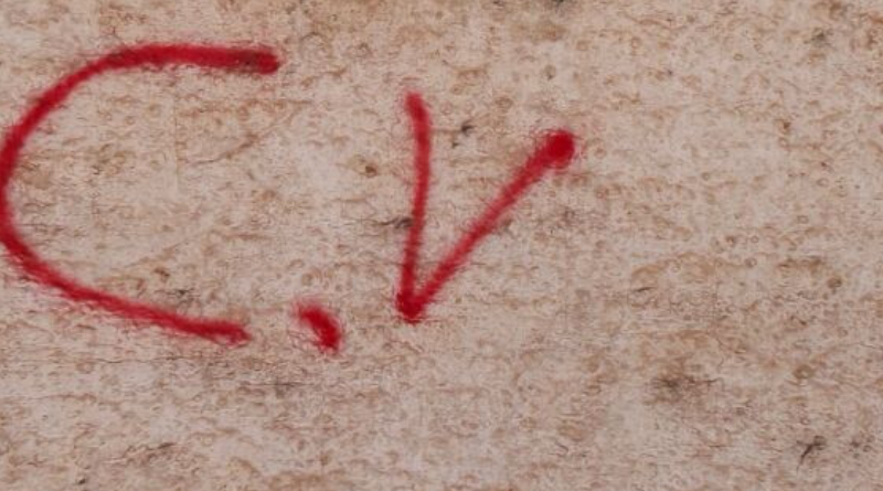 CV-Jornal Folha do Progresso