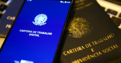 Carteira de trabalho digital — Foto: Marcelo Camargo/Agência Brasil