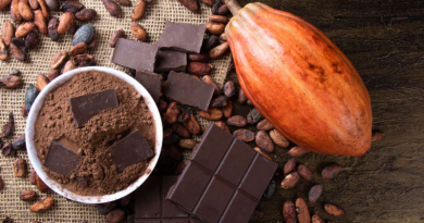 Chocolate-cacau-Jornal Folha do Progresso