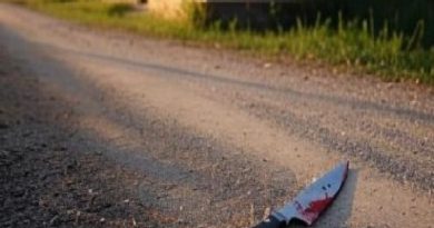 Faca - Jornal Folha do Progresso (1)