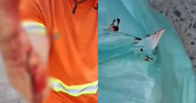 Gari Ferido-Jornal Folha do Progresso