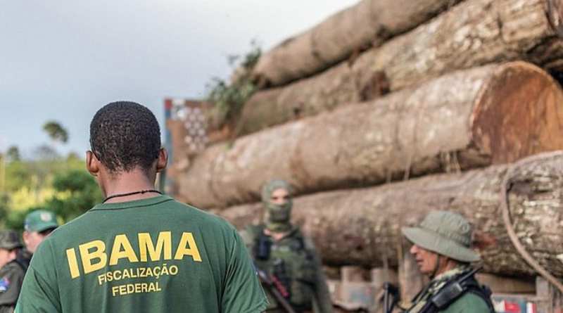 IBAMA-Jornal Folha do Progresso