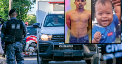 Novo Projeto - 2026-01-03T072157.911