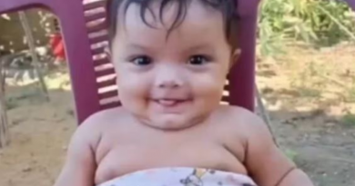 Novo Projeto - 2026-01-03T072456.183