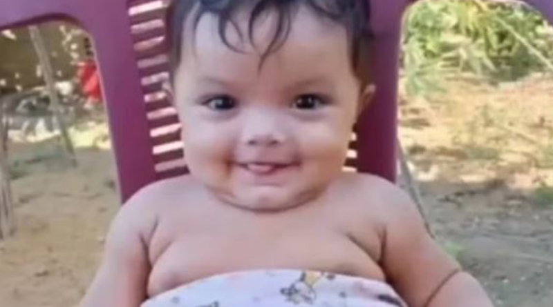 Novo Projeto - 2026-01-03T072456.183