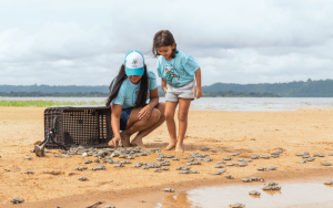 Tartarugas do Xingu | Foto: Reprodução/Helder Lana