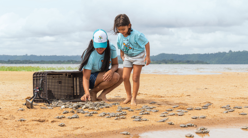 Tartarugas do Xingu | Foto: Reprodução/Helder Lana