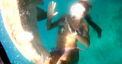 Turista-mordida tubarão no PE-Jornal Folha do Progresso