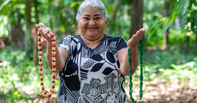 Vidas na amazonia-Jornal Folha do Progresso