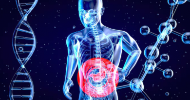 intestino-bactéria-saúde- Jornal Folha do Progresso