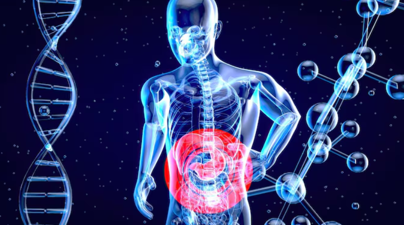 intestino-bactéria-saúde- Jornal Folha do Progresso