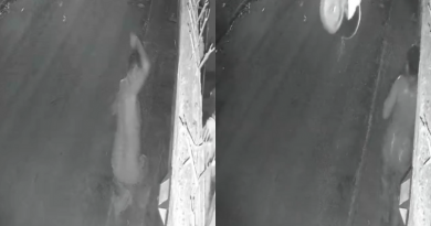 invasão- Jornal Folha do Progresso