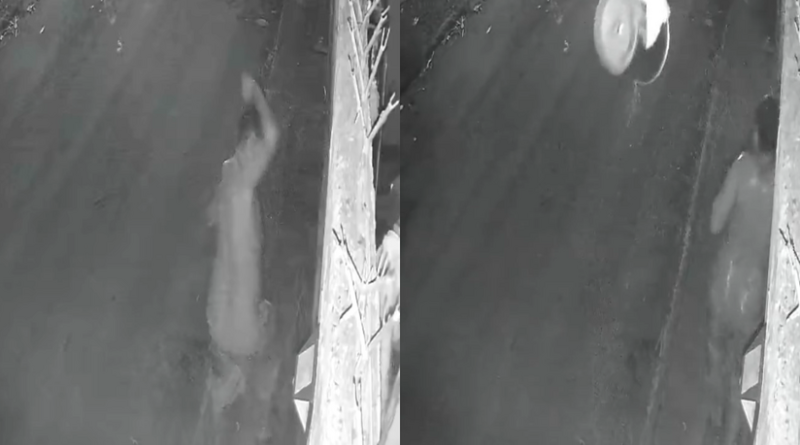 invasão- Jornal Folha do Progresso