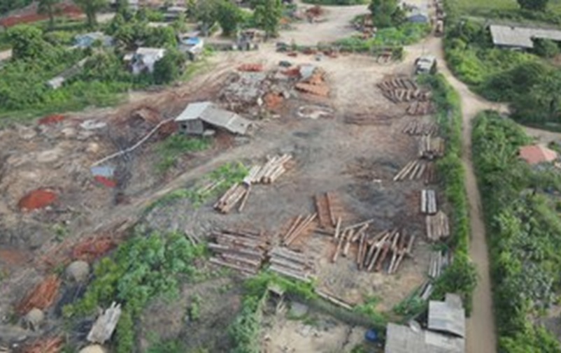 Fiscalização abrange toda a cadeia produtiva da madeira – Foto: divulgação/Ibama