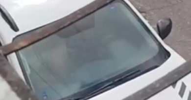 sexo-carro-prefeitura- Jornal Folha do Progresso