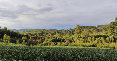 terras-titulos-brasil-Jornal Folha do Progresso