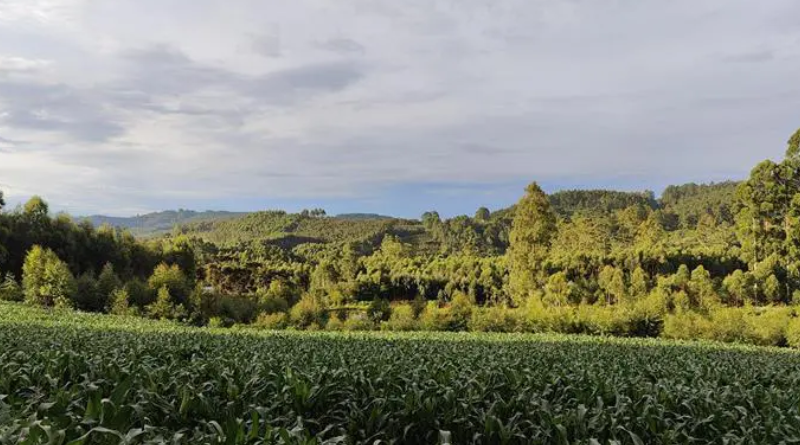 terras-titulos-brasil-Jornal Folha do Progresso
